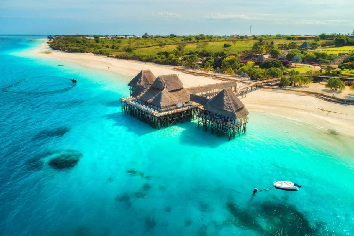 Zanzibar & Safari