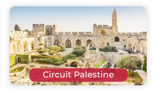Circuit Palestine